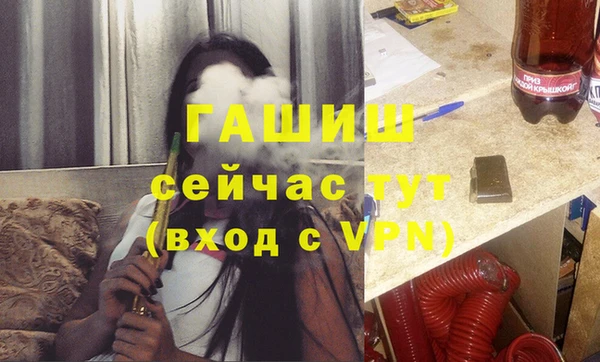 сатива Абаза